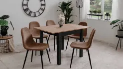 Anisa