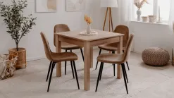 Anisa