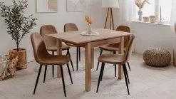 Anisa