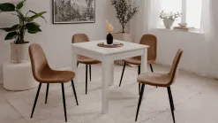 Anisa