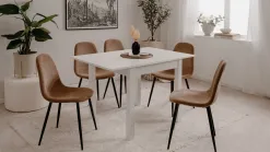 Anisa
