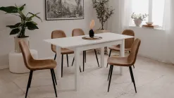 Anisa