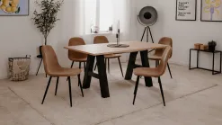 Anisa