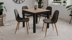 Anisa