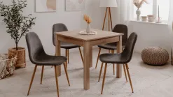 Anisa