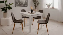 Anisa