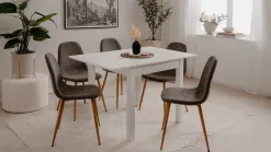 Anisa