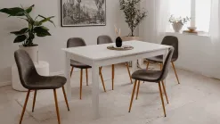 Anisa