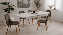 Anisa