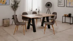 Anisa