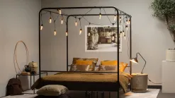 Bunk