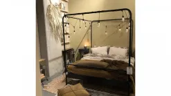 Bunk