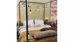 Bunk