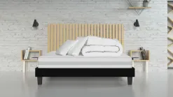 Clean Confort