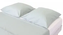 Dina
