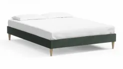 Dina