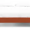 Dina