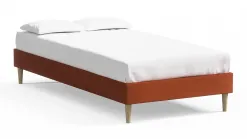 Dina