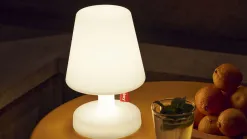 Edison the Petit