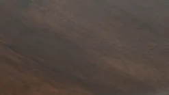 Gogo