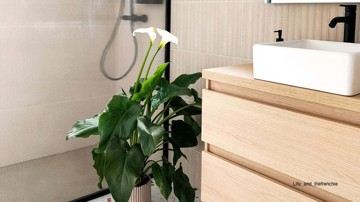 Hudson