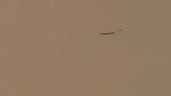 Jet