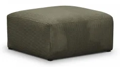 Modulo