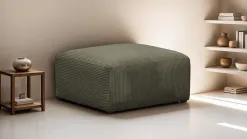 Modulo