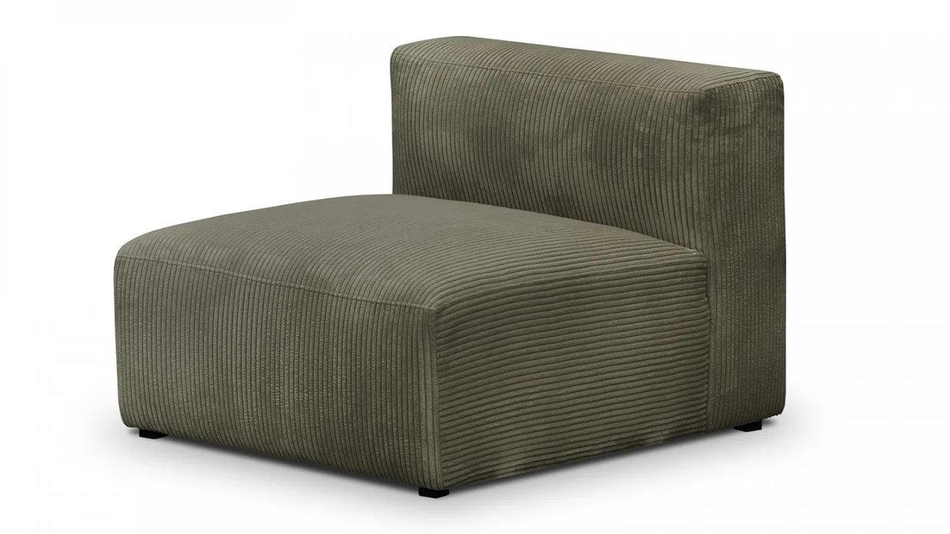 Modulo