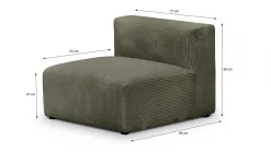 Modulo
