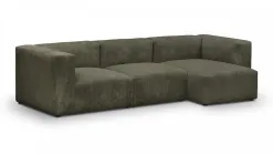 Modulo