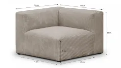Modulo New