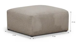 Modulo New