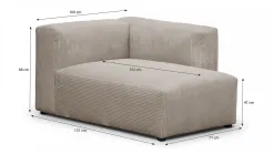 Modulo New