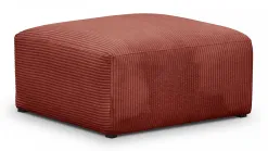 Modulo New