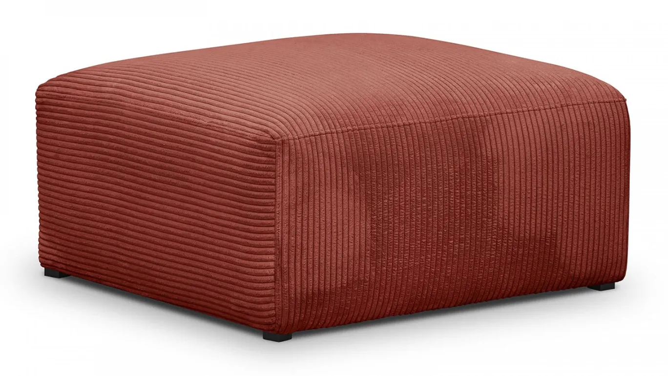Modulo New