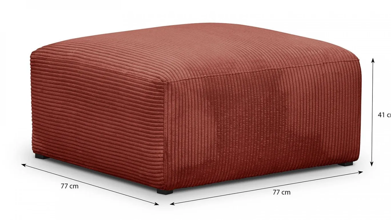 Modulo New