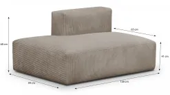 Modulo New