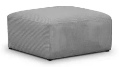 Modulo New