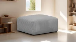 Modulo New
