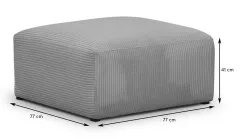 Modulo New