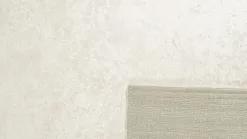 Pula