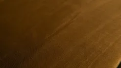 Rodeo