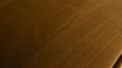 Rodeo