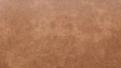 Rodeo