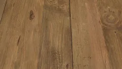 Sandy