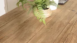 Sandy