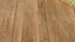 Sandy