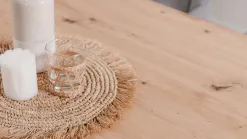 Vélia