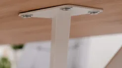 Vélia